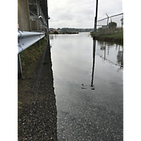 Gloucester King Tide image